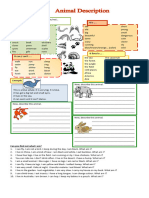 Describing Animals Exercises (KD 4)