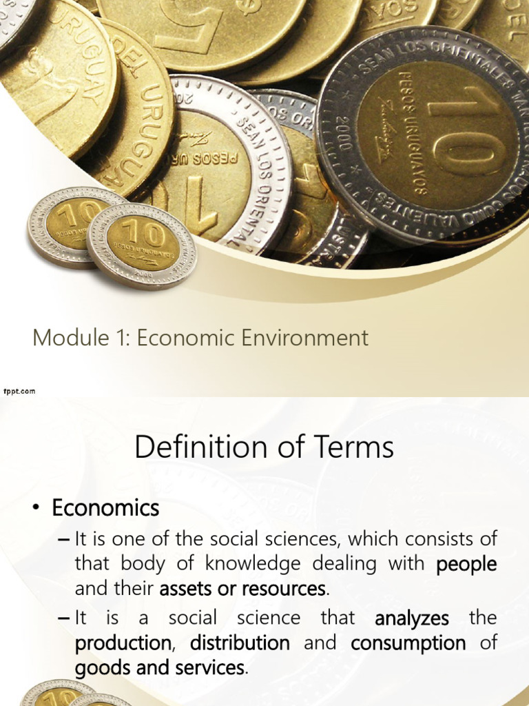 Types Of Economic Environment Pdf