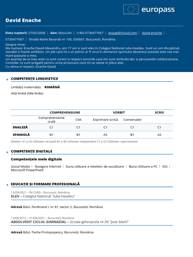 CV - David Enache | PDF