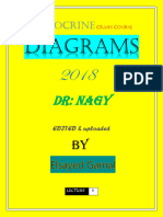 Dr-Nagi - Endocrin Lec4