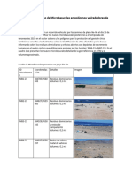 Reporte Microbasurales 2023