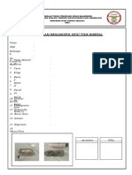 Format Identifikasi Mineral