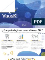 Ebook Porque SAP y VK