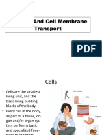 2) Cells