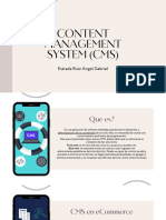 Content Management System (CMS)