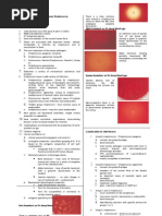 Download Microbio Lec 5 - Streptococcus by api-3743217 SN6769498 doc pdf