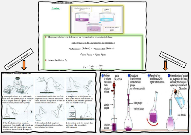 Dilution Et Protocol Experimental PDF