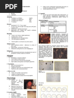 Download Microbio Lec 12 - Treponema Borrelia Helicobacter Legione by api-3743217 SN6769570 doc pdf
