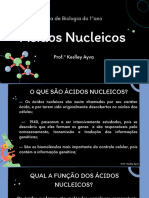 Aula de Ácido Nucleico Do 1 Ano