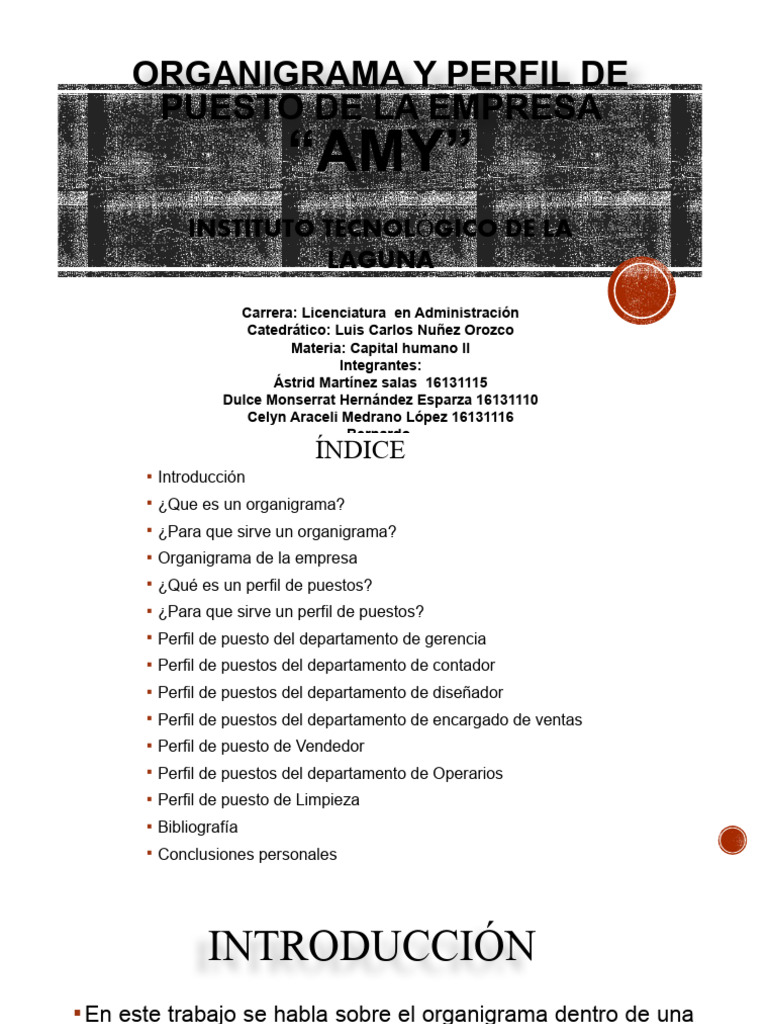 Capital Humano 2 Organigrama | PDF