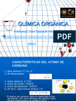 02 HIDROCARBUROS SATURADOS - Alcanos