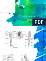 Trombosis Venosa Profunda 2