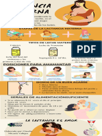 Infografia - Lactancia Materna - Micaela Vallejos - H. Del Sud