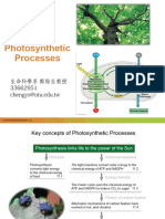 Ch11 Photosynthesis