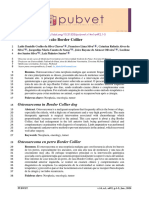 492 - 6400 - Osteossarcoma Em Cão Border Collier