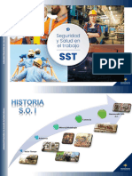 1 Intro SST Historia Sgss