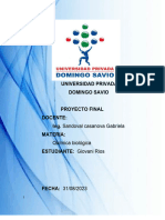 Universidad Privada Domingo Savio: Proyecto Final