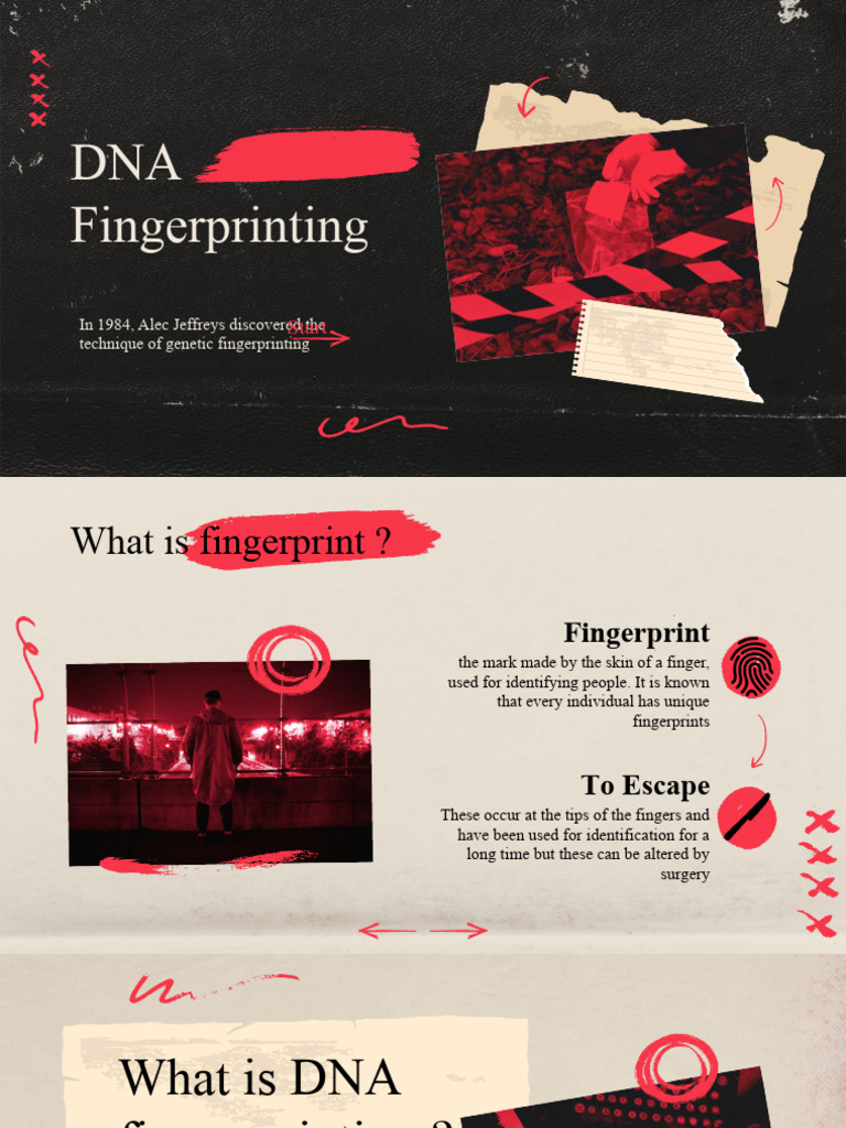 Seminar For DNA Finger Printing | PDF