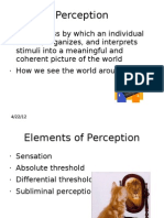 Custom Perception