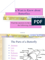 Butterfly Overview