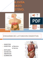 Fisiologiadeaparatodigestivoterminado 140528051843 Phpapp01