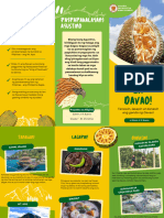 Davao Tour Guide Brochure
