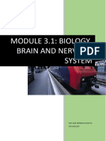 Module 3.1 Biology, Brain N Nervous System