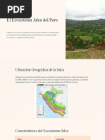 Ecosistema Pacal en la Selva Peruana | PDF | Entorno natural | Ciencias ...