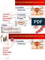 Anatomi Fisiologi Organ Reproduksi Wanit