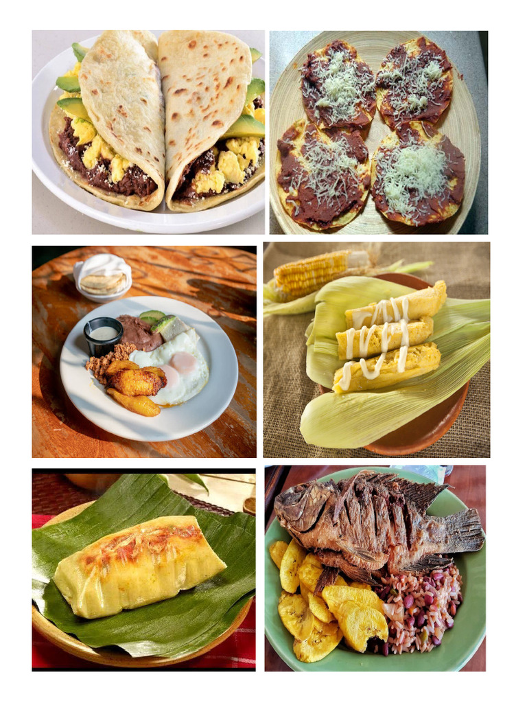 COMIDAS TIPICAS HONDURAS | PDF