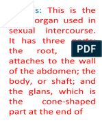 Male Reproductive System