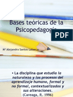 Bases Teoricas PSP
