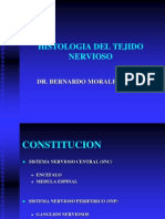 Histologia Del Tejido Nervioso Morfofisiologia 1 Katy