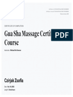 Guasha Certificate Course Inst Michael Eric Everson