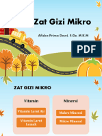 Zat Gizi Mikro