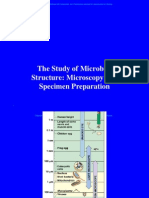 The Study of Microbial Structure: Microscopy and Specimen Preparation