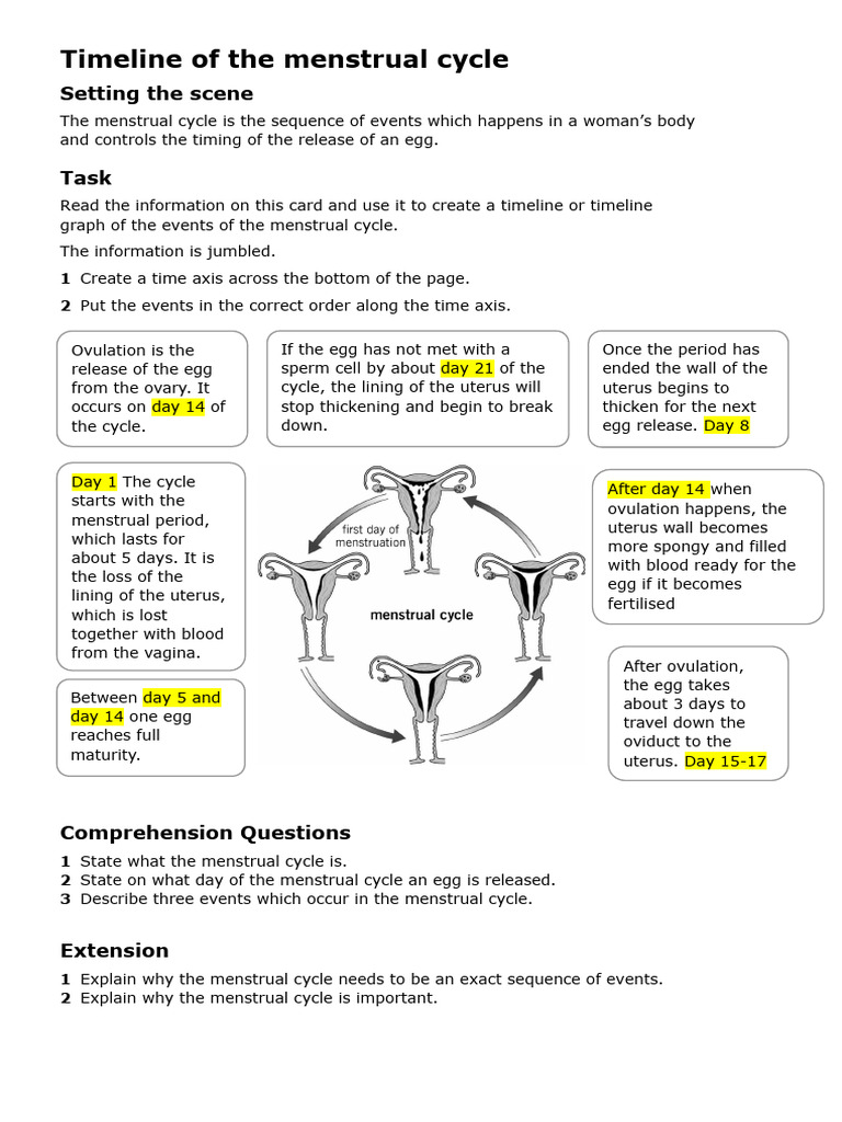 B1.3.5 Menstrual Cycle Timeline | PDF | Menstrual Cycle | Gynaecology