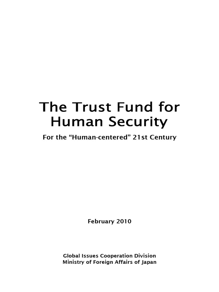 What Is Human Security PDF