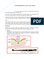 Seminar Pressure Ulcer