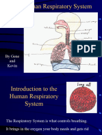 Respiratory 2