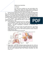 Rangkuman Sistem Pernafasan Manusia