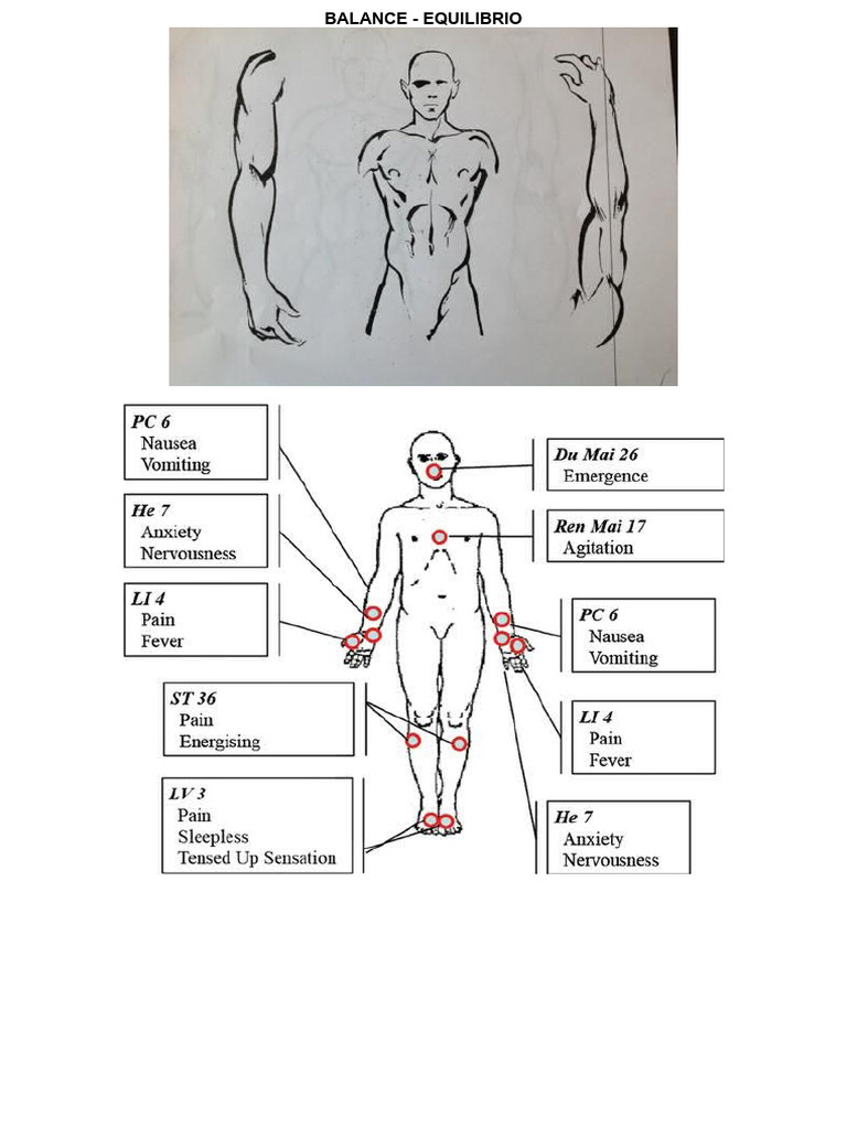 BALANCE | PDF