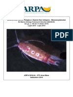 Marine Strategy Mesozooplancton Arpa Sicilia ST3 Settembre 2016