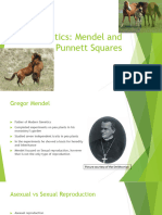 Genetics Mendel and Punnett Square PowerPoint