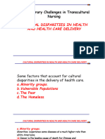 Contemporary Challenges in Transcultural Nursing: Cultural Disparities in Health and Health Care Delivery