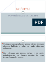 Briofitas Import Econ