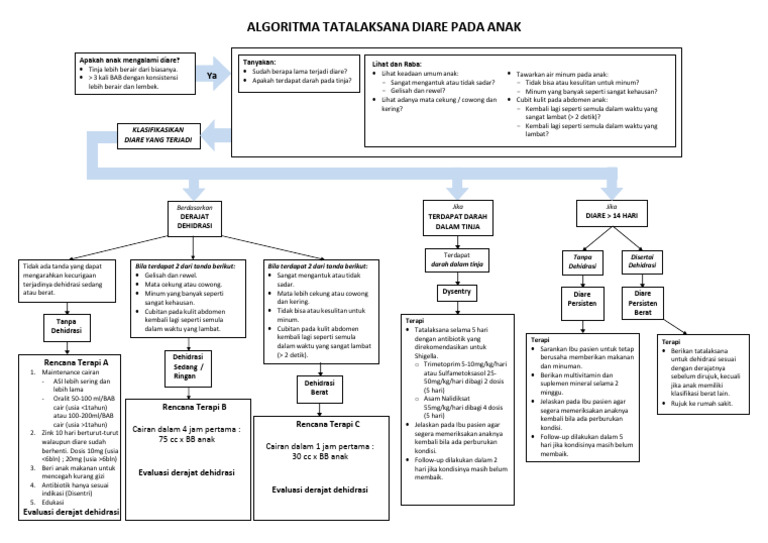 Algoritma Tatalaksana Diare Pada Anak | PDF