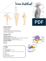 Tema 9 Consideraciones Generales en Anatomía Humana