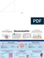 Glomerulonefritis 378518 Downloadable 711348