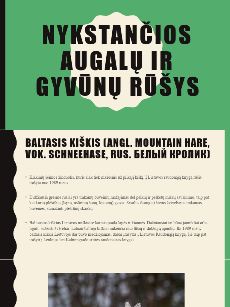 Nykstančios Augalų Ir Gyvūnų Rūšys | PDF
